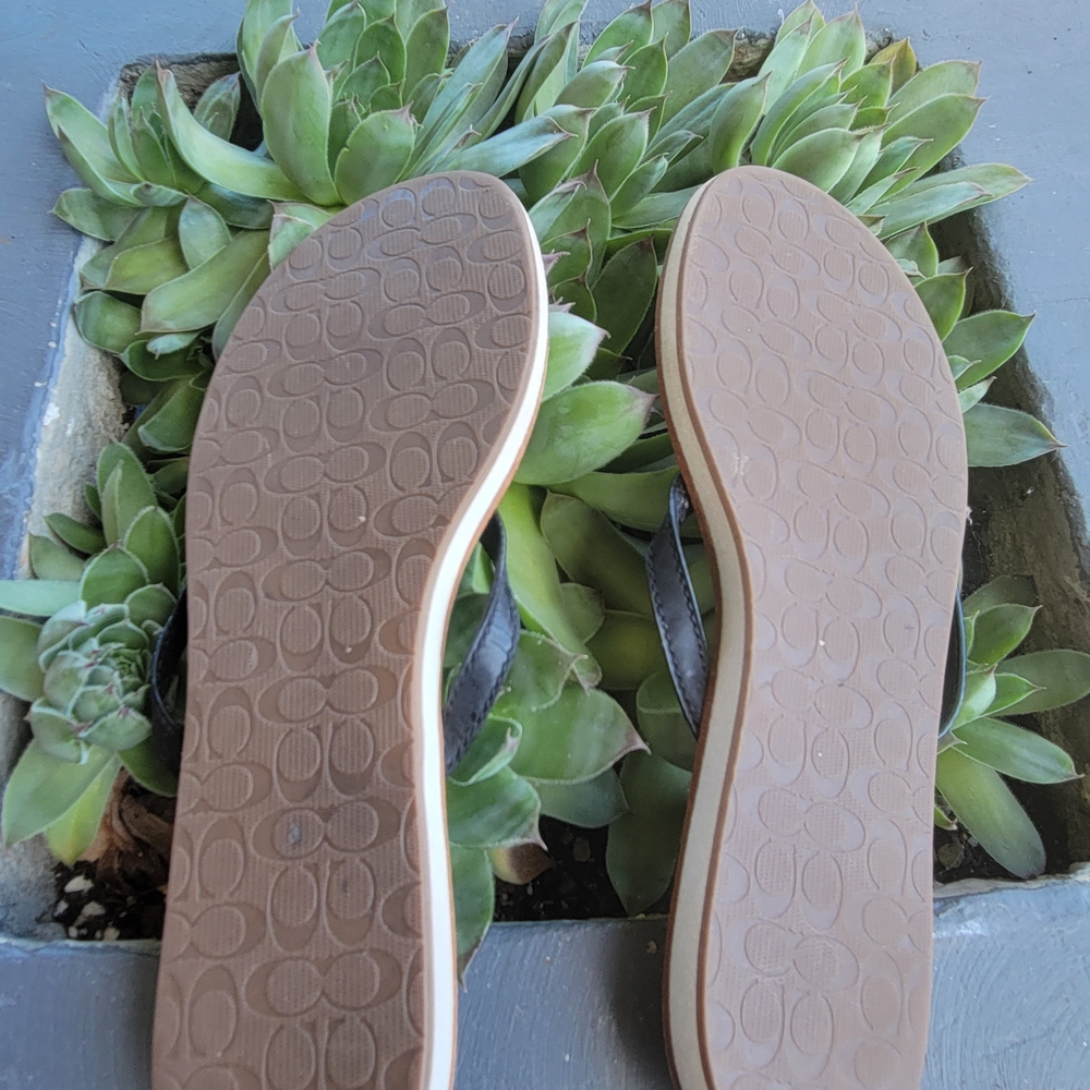 Black Flip Flops - image 6